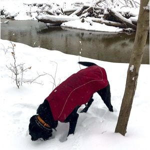 Ruffwear Overcoat Jacket